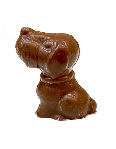 Chocolate dog teuscher